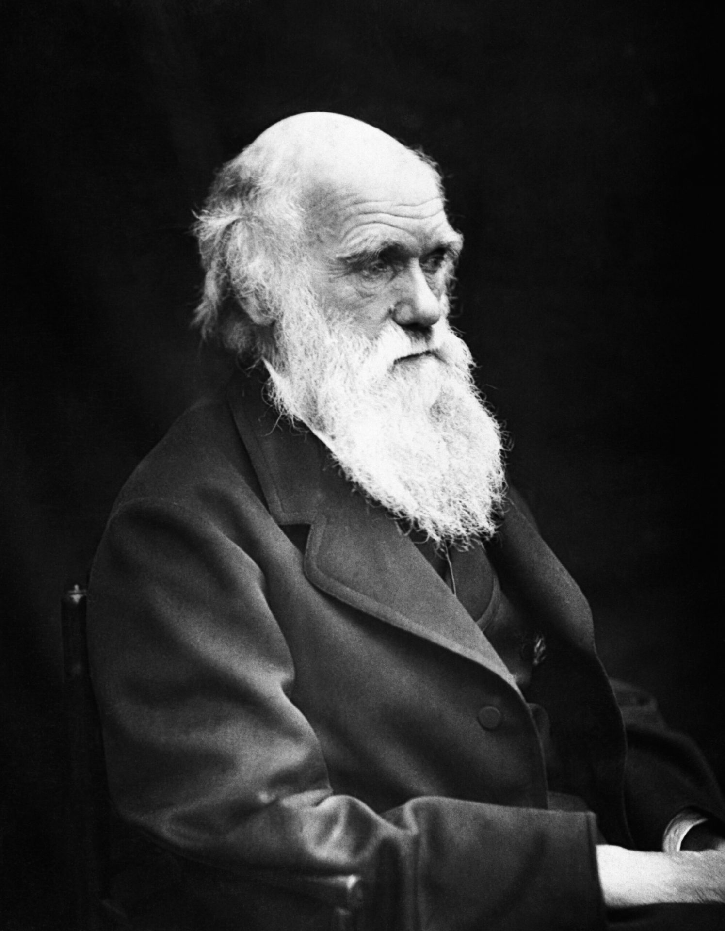 Evolutie: Was Darwin een sexist?