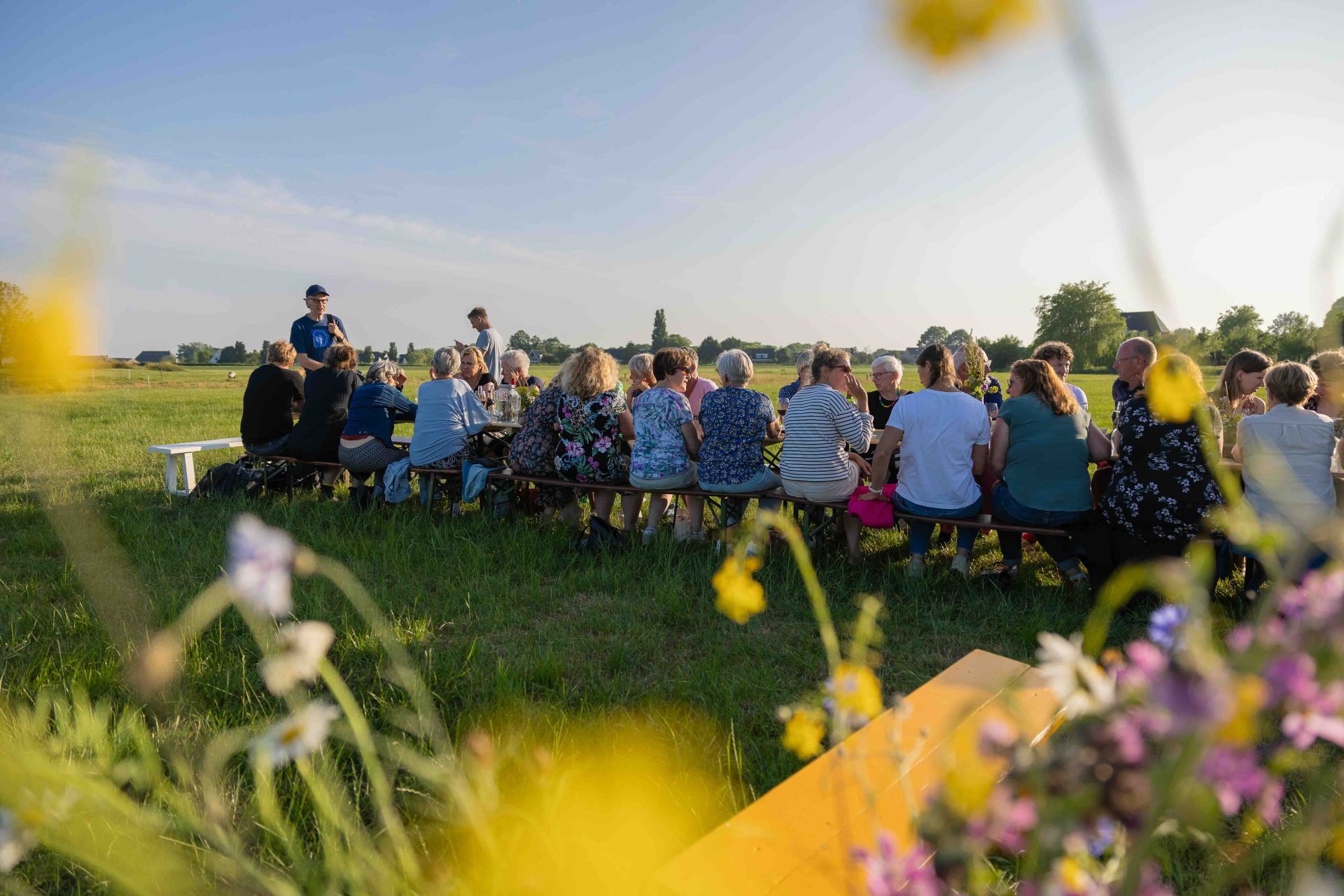 Fryslân Bloeit